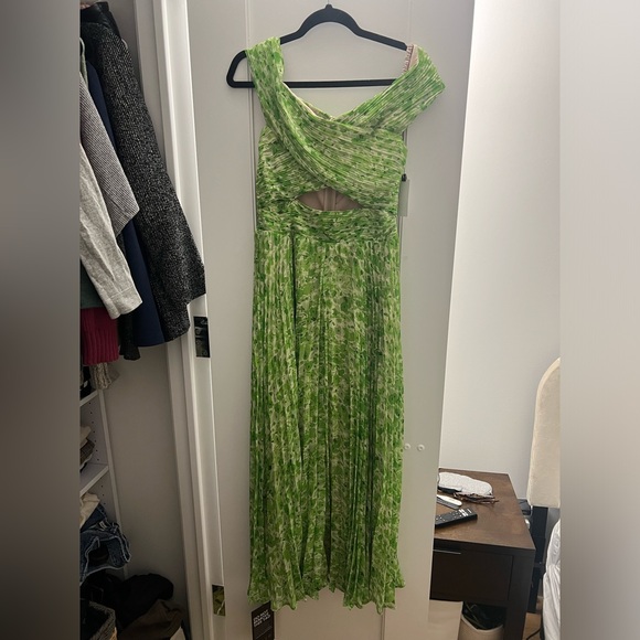 ASTR the Label | Leonara Pleated Midi Dress in Green Floral - Picture 5 of 10